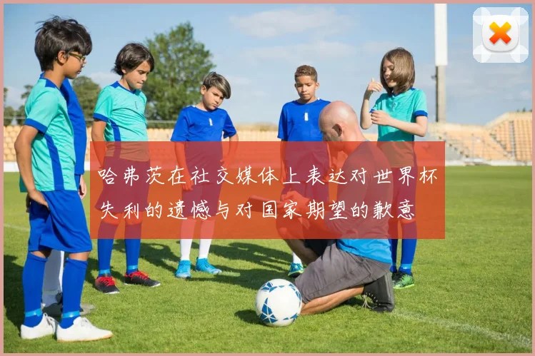 哈弗茨在社交媒体上表达对世界杯失利的遗憾与对国家期望的歉意